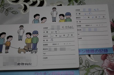 予防接種とかの書類発見