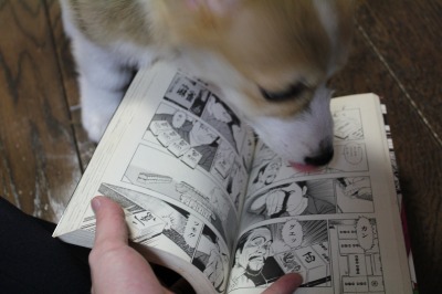 moca に哭きの竜を読ませてみる